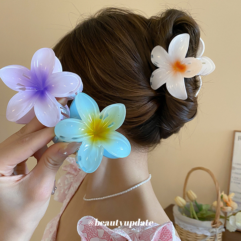Travel Accessories Hong Kong - Kristall Blume Acryl Haar Klaue Clips
