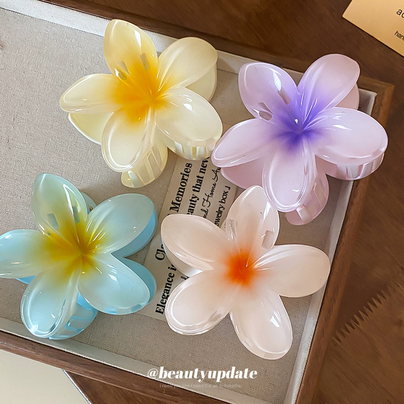 Kristall Blume Acryl Haar Klau – Travel Accessories Hong Kong Bewertung und Preis