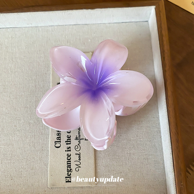 Kristall Blume Acryl Haar Klau – Travel Accessories Hong Kong Bewertung und Preis